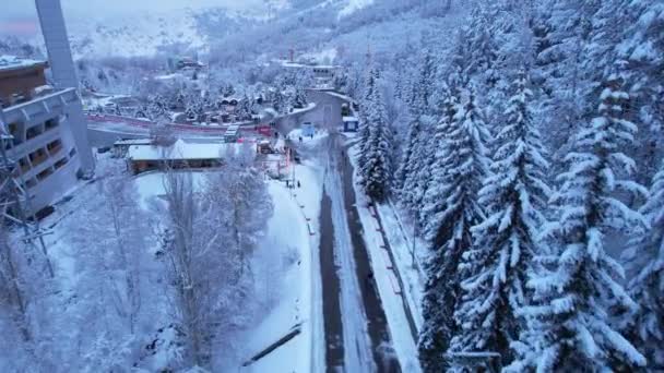 Śnieżna Baśniowa Droga Górskim Lesie Boże Narodzenie Lub Nowy Rok — Wideo stockowe