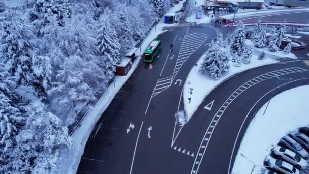 Snowy Sprookjesachtige Weg Een Bergbos Kerstmis Nieuwjaar Aangebroken Naaldbomen Sneeuw — Stockvideo