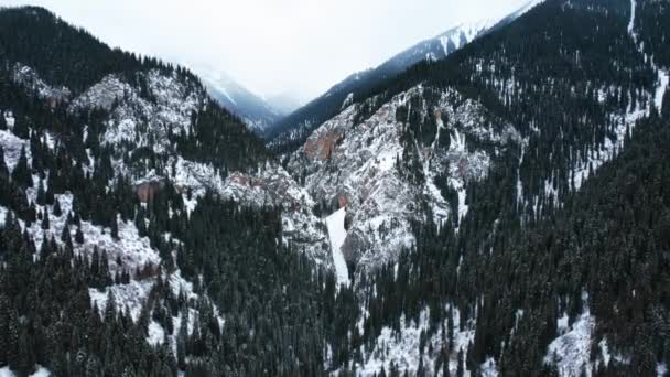 Eine Verschneite Gebirgsschlucht Mit Einem Wald Nebel Steile Klippen Mit — Stockvideo