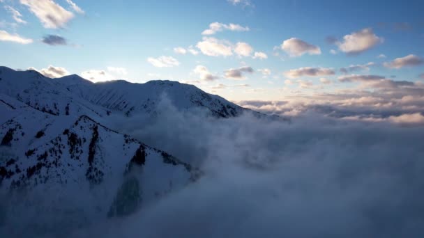在群山的云海中飞翔 雾就像大海的巨浪冲击着被雪覆盖的高山 云杉生长在一些地方 日落了阳光的橙色光芒 — 图库视频影像