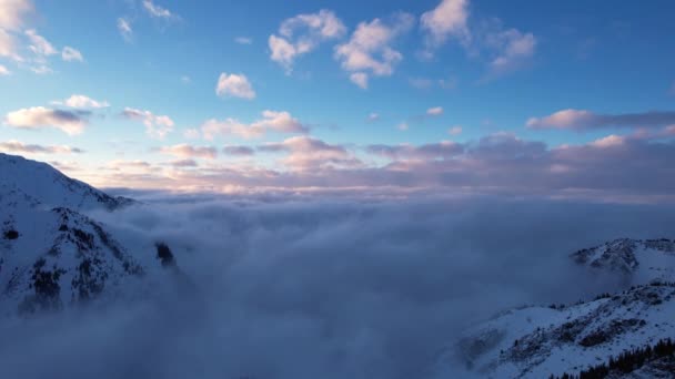 在群山的云海中飞翔 雾就像大海的巨浪冲击着被雪覆盖的高山 云杉生长在一些地方 日落了阳光的橙色光芒 — 图库视频影像