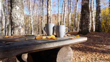 Ormandaki ahşap bir masada iki gri bardak. Masanın üzerinde huş ağaçlarından düşmüş sarı-turuncu yapraklar var. Uzakta, uzun huş ağaçlarını ve yerdeki gölgelerini görebilirsiniz.