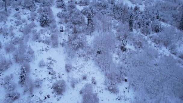 Kolejka Linowa Górach Zimowym Lesie Kabiny Poruszają Się Wzdłuż Drogi — Wideo stockowe