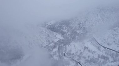 Bulutlarda kozalaklı ağaçlarla kaplı karlı dağlar. Medeo Barajı. Her şey sis ve karda. Noel ve yeni yıl geldi. Yoldaki, barajdaki ve ağaçlardaki insansız hava aracı görüntüsü. Almaty, Kazakistan