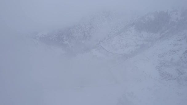 云中有针叶树 Medeo水坝一切都在雾和雪中 圣诞节和新年已经到来 从无人飞机上俯瞰公路 大坝和树木的空中景观 哈萨克斯坦阿拉木图 — 图库视频影像