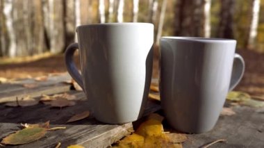 Ormandaki ahşap bir masada iki gri bardak. Masanın üzerinde huş ağaçlarından düşmüş sarı-turuncu yapraklar var. Uzakta, uzun huş ağaçlarını ve yerdeki gölgelerini görebilirsiniz.