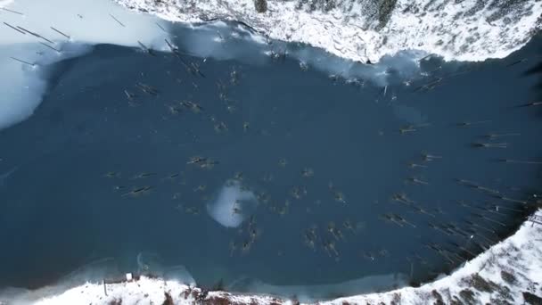 Kaindy Mountain Lake Invierno Drone Vista Helada Agua Oscura Troncos — Vídeo de stock