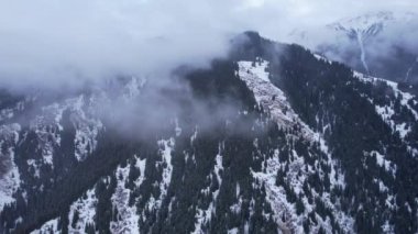 Karlı dağlar ve orman manzaralı bulutlarda uçuyor. Tepelerde uzun kozalaklı ağaçlar duruyor. Beyaz bulutlar alçaktan süzülüyor. Bulutların arasında uçuyor. Dik yamaçlar. Kazakistan, Almaty