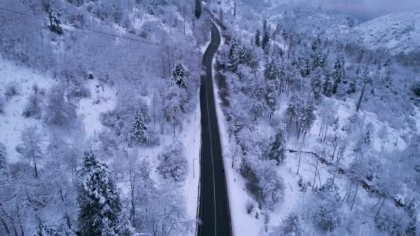 山里的缆车在冬天的森林里 小木屋沿着贡多拉公路穿过冬季的雪地和大雾 白云笼罩着群山 从无人机上俯瞰 阿拉木图Medeo — 图库视频影像