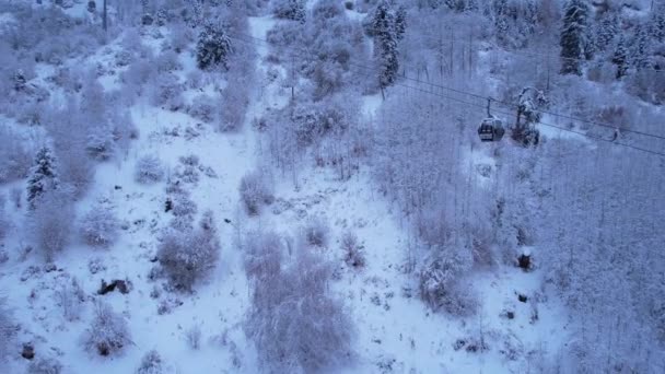 Kış Ormanlarındaki Dağlarda Kablo Arabası Kulübeler Kar Ormanları Sis Boyunca — Stok video