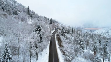 Kış ormanlarındaki dağlarda kablo tv arabası. Kulübeler, kar ormanları ve sis boyunca gondol yolu boyunca ilerliyorlar. Dağları beyaz bulutlar kapladı. İHA 'nın üst görüntüsü. Medeo, Almaty