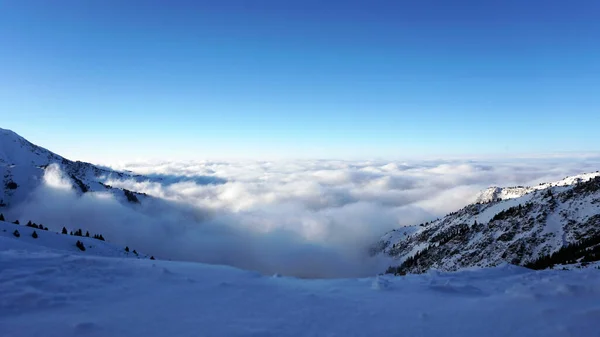 An epic ocean of clouds and fog in the winter mountains. Shots of huge powerful white clouds and clear sky in the mountains. There is snow, coniferous trees grow on slopes. Clouds come in waves