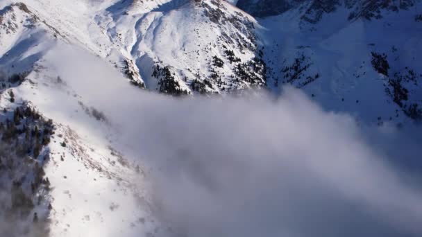 在群山的云海中飞翔 雾就像大海的巨浪冲击着被雪覆盖的高山 云杉生长在一些地方 山顶的阴影落在云彩上 — 图库视频影像