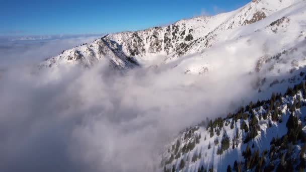 山の中の雲の海の間を飛んでいます 霧は雪に覆われた高い山に衝突する大きな海の波のようなものです 芽の木は場所で成長する 山頂の影が雲に落ちる — ストック動画