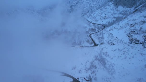 Bulutlarda Kozalaklı Ağaçlarla Kaplı Karlı Dağlar Medeo Barajı Her Şey — Stok video