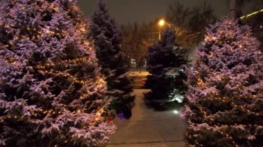 Kar ve çelenk içinde canlı bir Noel ağacı. Işıklar parlıyor, beyaz kar üzerinde parıldıyor. Kar taneleri düşüyor. İnsanlar yürüyor, arabalar geçiyor. Almaty 'de Yeni Yıl ve Noel