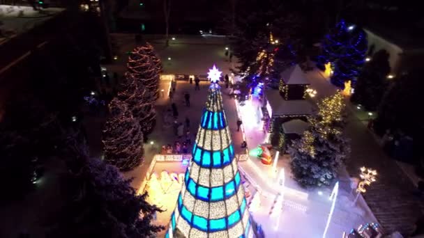Noel Ağacıyla Süslenmiş Parlak Noel Süslemeleri Noel Ağacında Çelenkler Neon — Stok video