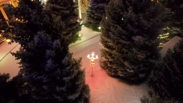 Красиво Украшенный Дом Рождество Новый Год Снег Падает Гирлянды Елках — стоковое видео