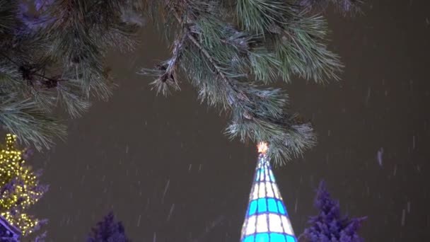 Snow Falling Christmas Tree Glowing Coniferous Green Branches Covered Snow — Stock Video