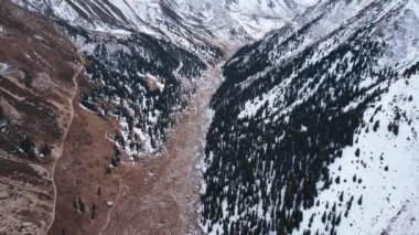 Vadide ormanı olan yüksek karlı dağlar. Bulutlu karanlık gökyüzü, kasvetli atmosfer. Beyaz yamaçlar karla kaplı, yüksek rakımlı ladin ağaçları yetişiyor. İzler görülebilir. Büyük Almaty Gölü