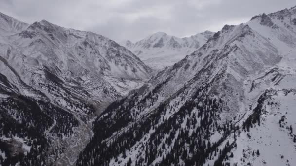 Высокие Снежные Горы Лесом Ущелье Темное Небо Облаками Мрачная Атмосфера — стоковое видео