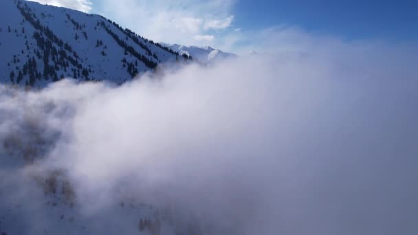 冬季雪山白积云 太阳的光芒落在部分云彩上 一个阴影从山顶升起 山上长着圣诞树 游客们在散步 — 图库视频影像