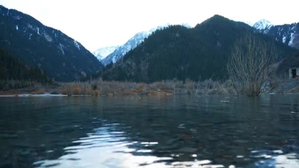 Mountain Lake Turquoise Water Flooded Trees Branches Trees Peek Out — Stock Video