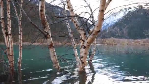 Lac Montagne Avec Eau Turquoise Inondait Les Arbres Les Branches — Video