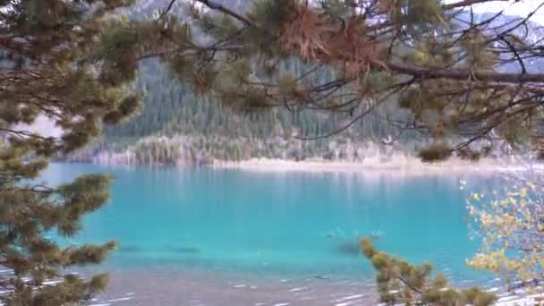 Trilha Montanha Longo Lago Com Árvores Coníferas Lugares Folhas Amarelas — Vídeo de Stock