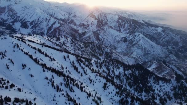 高い雪の山の中で壮大な赤オレンジの夕日 ようこそ背の高い針葉樹の木は 丘の上に雪です 高い山だ 太陽の光は雲の上に落ち 峡谷の下にある霧が発生します アルマトイ — ストック動画