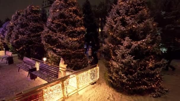 Een Levende Kerstboom Sneeuw Bloemenslingers Lichten Schijnen Fel Glinsterend Witte — Stockvideo