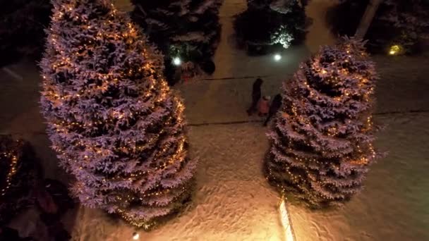 雪地和花环中的一棵活圣诞树 灯亮着 在白雪上闪闪发光 雪花飘落 人们在走路 汽车在经过 阿拉木图的新年和圣诞节 — 图库视频影像