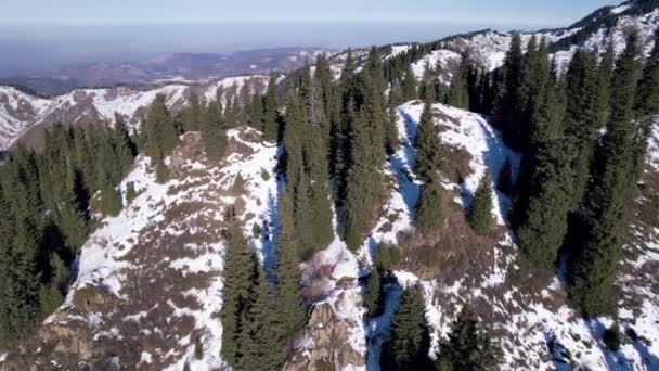 Сніжні Білі Гори Високими Хвойними Деревами Круті Скелі Кручі Видно — стокове відео