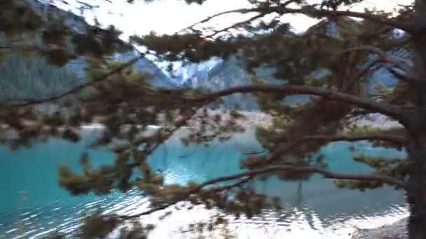 Horská Stezka Podél Jezera Jehličnany Místy Padají Žluté Listy Větve — Stock video
