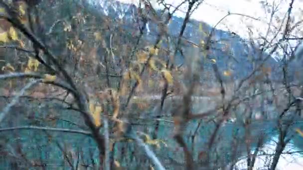 Lago Montagna Con Acqua Turchese Inondato Gli Alberi Rami Degli — Video Stock