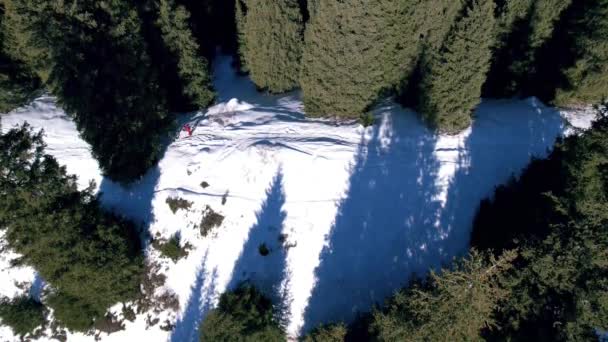 Δύο Ορειβάτες Περπατούν Μια Χιονισμένη Κορυφογραμμή Μέσα Στο Δάσος Ψηλά — Αρχείο Βίντεο