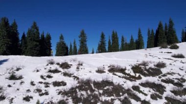 İki dağcı ormanda karlı bir sırt boyunca yürüyorlar. Uzun kozalaklı yeşil ağaçlar. Ağaçların gölgeleri karın üstüne düşüyor. Büyük sırt çantaları taşıyorlar. Bir İHA 'dan üst görünüm