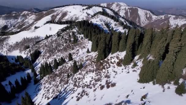 Snowy White Mountains Tall Coniferous Trees Steep Cliffs Precipices Visible — Wideo stockowe