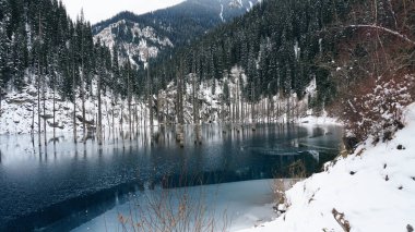 Kozalaklı ağaç gövdeleri bir dağ gölünden çıkar. Ayna gibi pürüzsüz su karlı dağları ve ormanı yansıtır. Bulutlardaki yüksek zirveler. Kaindy Gölü buz gibi. Sahilde çalılar yetişir.