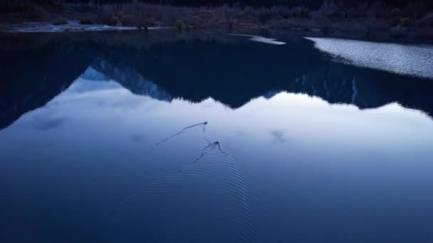 Los Patos Nadan Lago Montaña Liso Espejado Dejan Marcas Agua — Vídeos de Stock