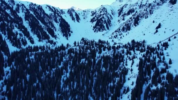 Coniferous Forest Snowy Mountains White Clouds Float Sky Top View — Vídeo de stock
