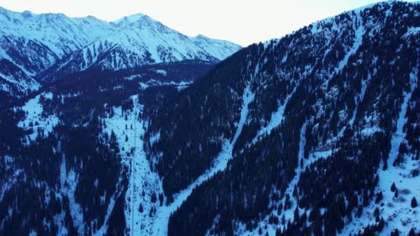 Jehličnatý Les Zasněžených Horách Obloze Vznášejí Bílé Mraky Pohled Shora — Stock video