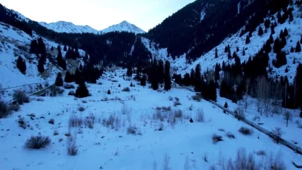 Vinterskog Sluttningarna Bergen Flygfoto Från Drönare Träd Snöiga Berg Barrträd — Stockvideo
