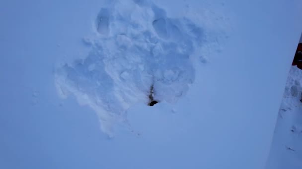 Καθαρίσαμε Την Καμινάδα Από Χιόνι Στην Καλύβα Αεροφωτογραφία Από Ένα — Αρχείο Βίντεο