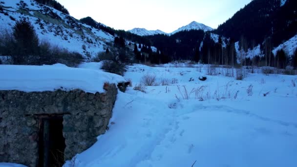 Abandoned Stone Hut Snowy Mountains Former Prison Coniferous Forest Sunset — Vídeo de Stock