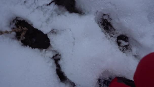 Парень Треккинговых Сапогах Ходит Снегу Снегом Видна Небольшая Река Красные — стоковое видео