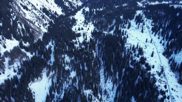 Karlı Dağlardaki Kozalaklı Orman Beyaz Bulutlar Gökyüzünde Yüzer Nın Üst — Stok video