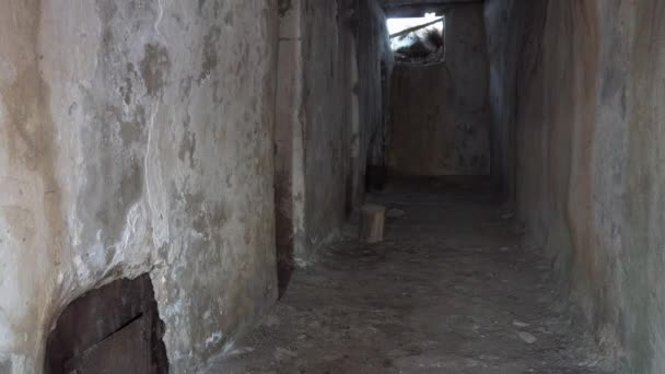 Guy Went Corridor Old Prison Looking Something Everything Entrances Small — Vídeo de stock
