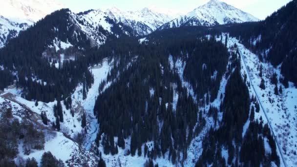 Хвойные Леса Снежных Горах Белые Облака Плывут Небу Вид Сверху — стоковое видео