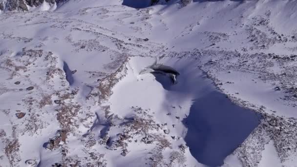 Ogromny Lodowiec Górach Wielu Turystów Chodzenie Śniegu Robienie Zdjęć Lodem — Wideo stockowe
